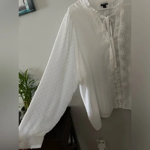 Torrid Women’s Chiffon Clip Dot Ruffle Neck Tie Front Top Blouse White Size 4X - Picture 4 of 12